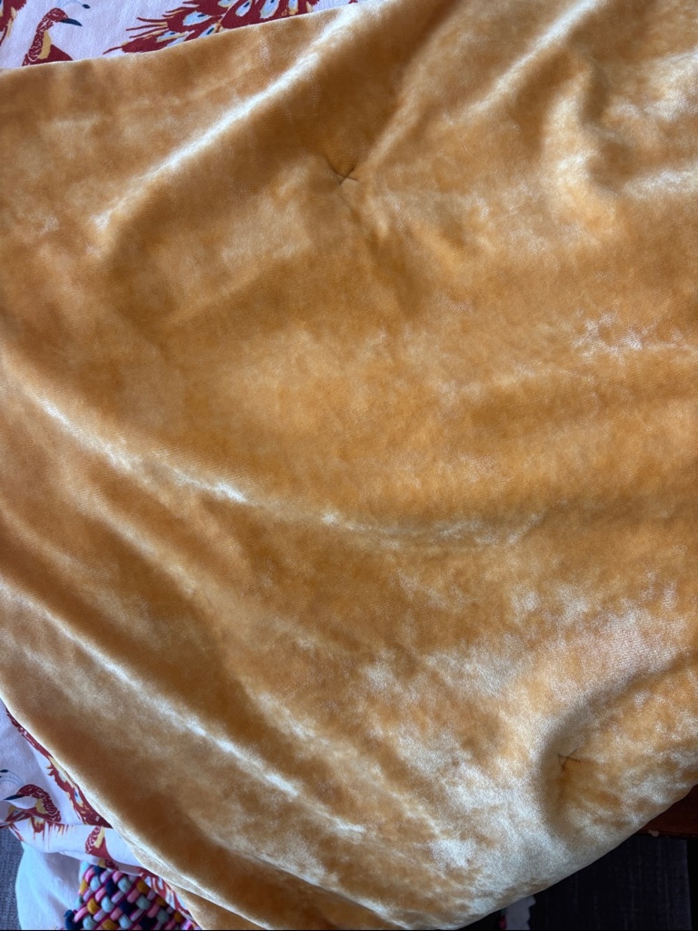 Opalhouse peackcock print comforter twin - Picture 3 of 5